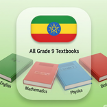 Grade 9 Books: Summary & Quiz