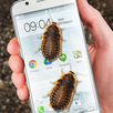 Bug in Phone funny joke APK