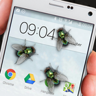 Fly in phone funny joke icon