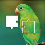 Jigsaw Puzzle Jigsaw Challenge