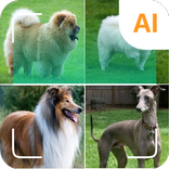 Pengenal Anjing