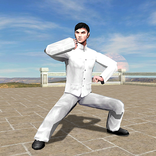 3D Baji Quan