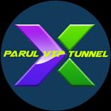 ParulZIA VPN