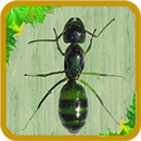 我的世界 - 激萌蚂蚁 APK