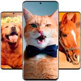 Animal Wallpapers Full HD / 4K APK