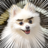 じわる写真