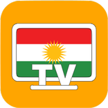 Kurdish TV - Radio