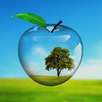PiP camera collage maker APK