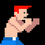 Pixel Fighter