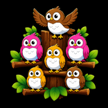 Spin Birds