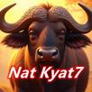 Nat Kyat7 APK