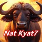 Nat Kyat7 icon