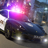 Police Highway