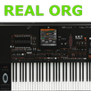 real organ playing APK