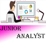 Junior Analyst