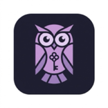 Key Nutmeg Lilac Owl