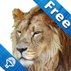 Kids Zoo, animal sounds & pictures, games for kids APK