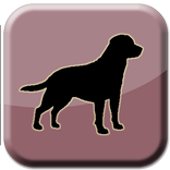 Dog Sounds