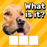 Zoom Quiz: Gioco D'immagini