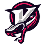 Viper VPN - Free VPN Client