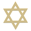 Jewish laws and customs APK