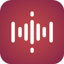 Max Audio Recorder APK