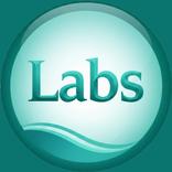 Labs Pro