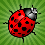 Fun Ant Killer