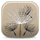 APK Federal Noxious Weeds Key