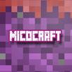 Metrocrafting - Build Craft APK