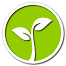 Pohon beruntung APK
