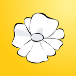 Lutea: Period & Cycle Tracker