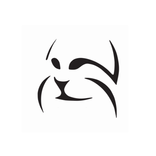 ”LYNX Player