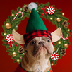 Merry Christmas Photo Editor APK