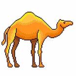 Weird Camel Game
