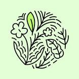 Florals - Wallpapers
