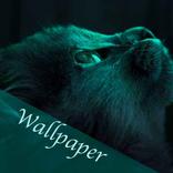 Wallpaper of cats