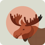 ZOOJI