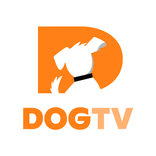 DOGTV