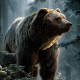 Bercakap Bear