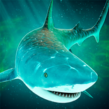 Sea of Sharks: Tiburón Marino