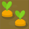 learn programming APK
