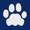 Leon APK