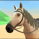 Horse Care 3D
