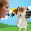 Translator for dogs joke APK