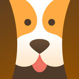 ”Dog Training App — GoDog