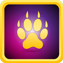 Lion Cards - help Leo solve our puzzles! APK
