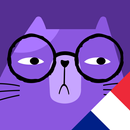 Learn French - speak fluently APK