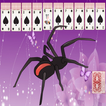 Icona Spider Solitaire X