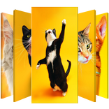 Yellow Cats Lock Screen